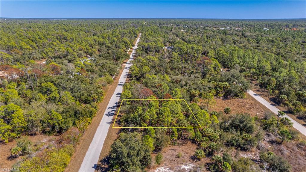 View of property location with a heavily wooded area and property parcel outlined