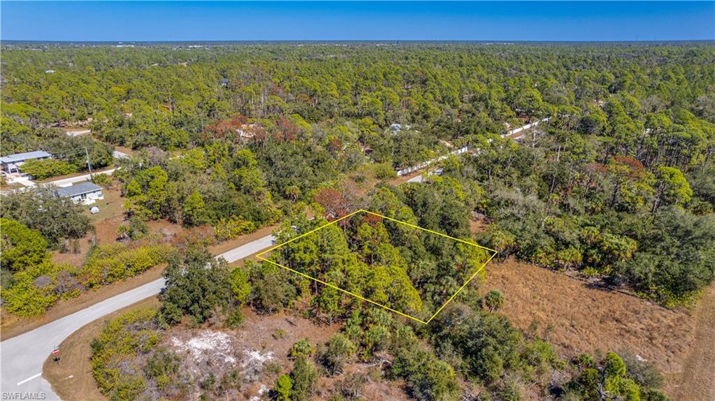 Aerial view of property and surrounding area featuring a heavily wooded area and property boundaries highlighted