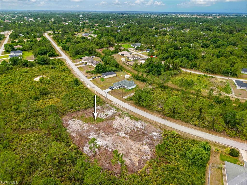 Drone / aerial view of a forest