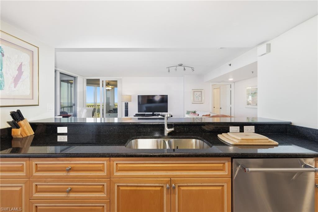 Kitchen with dishwasher, open floor plan, dark stone countertops, and track lighting