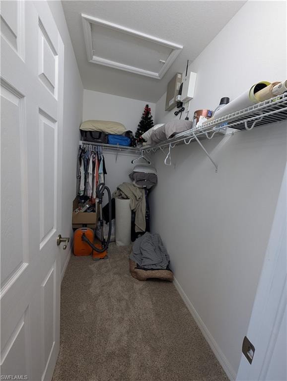 Spacious closet featuring attic access and light colored carpet