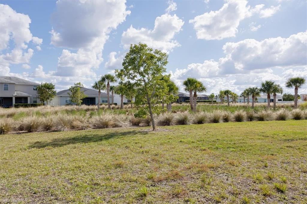 Back yard, room for a pool and lots of space between your neighbors back yards