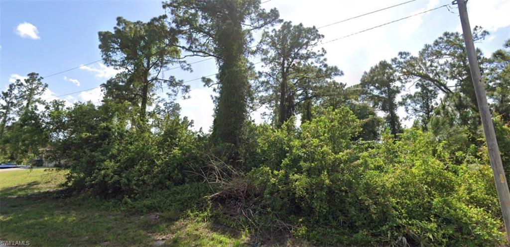 View of undeveloped land