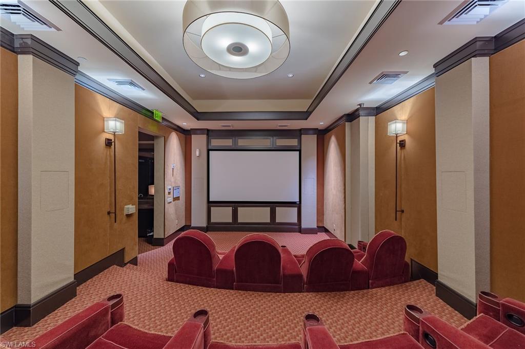 Cinema room featuring carpet and a tray ceiling