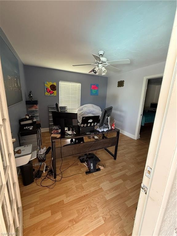 Office space with light wood-style flooring and a ceiling fan