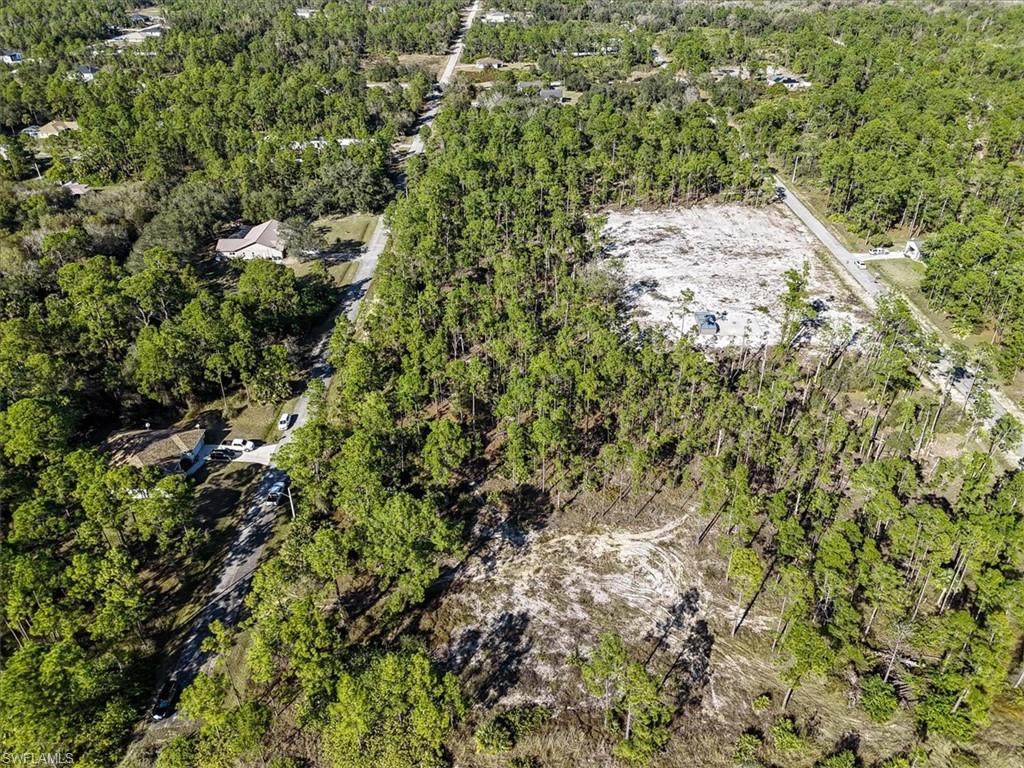 Bird's eye view of a forest