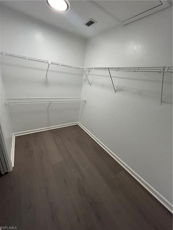 Spacious closet with dark wood-type flooring