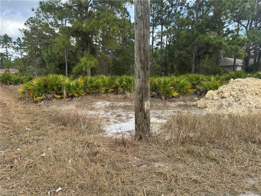 View of undeveloped land