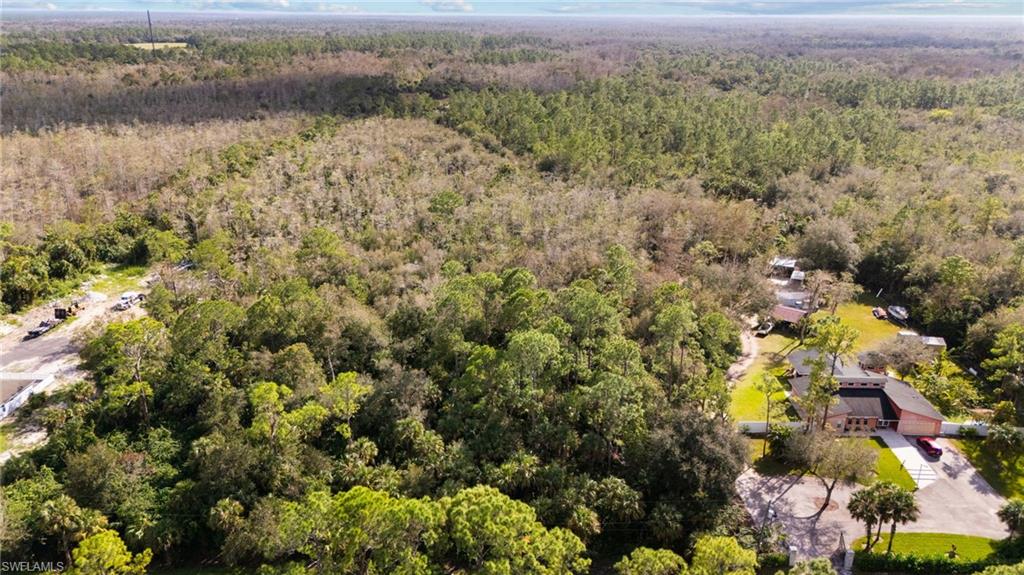 Bird's eye view of a forest
