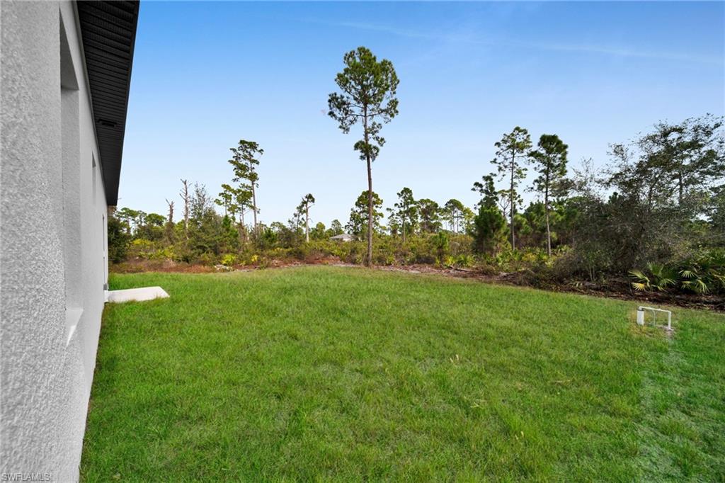 View of grassy yard