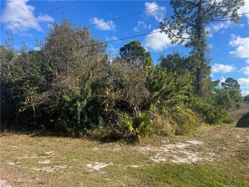 View of undeveloped land