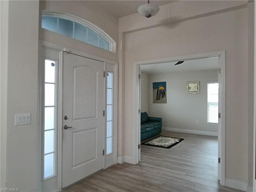 Foyer featuring healthy amount of natural light and light wood-type flooring