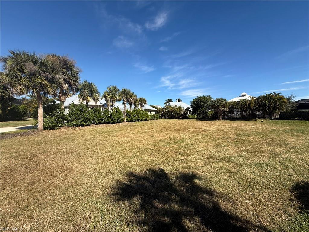 View of grassy yard