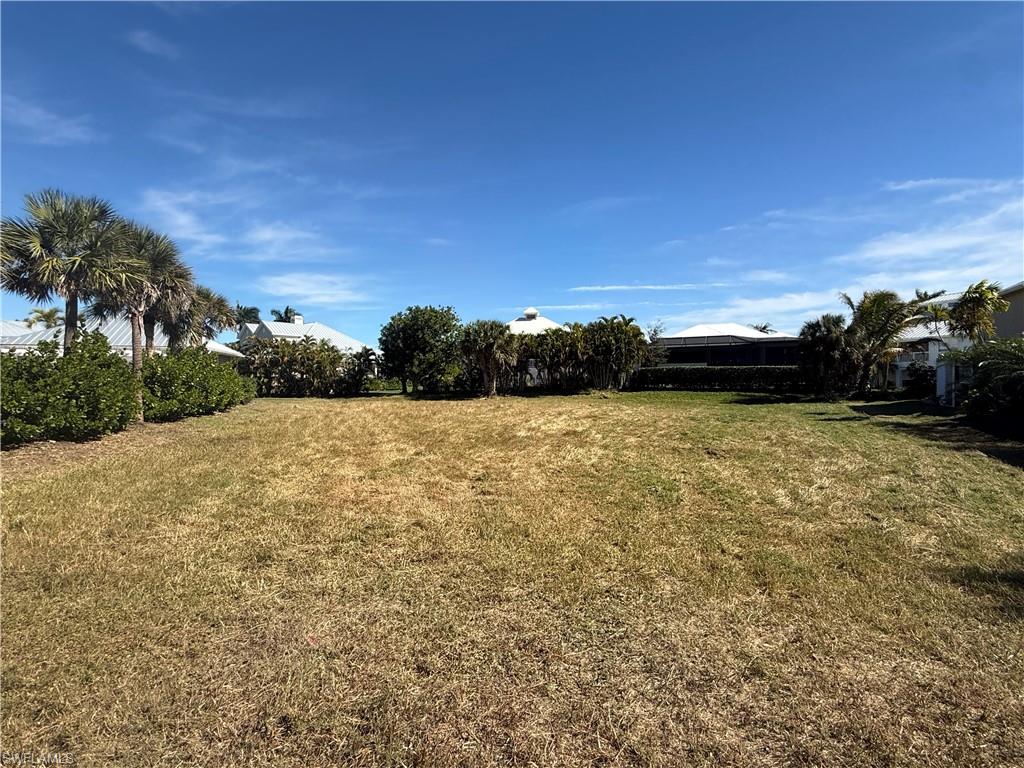 View of grassy yard