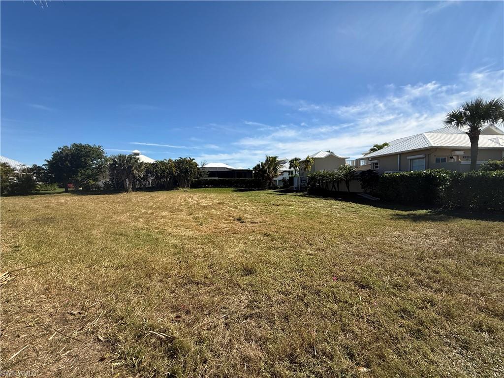 View of grassy yard