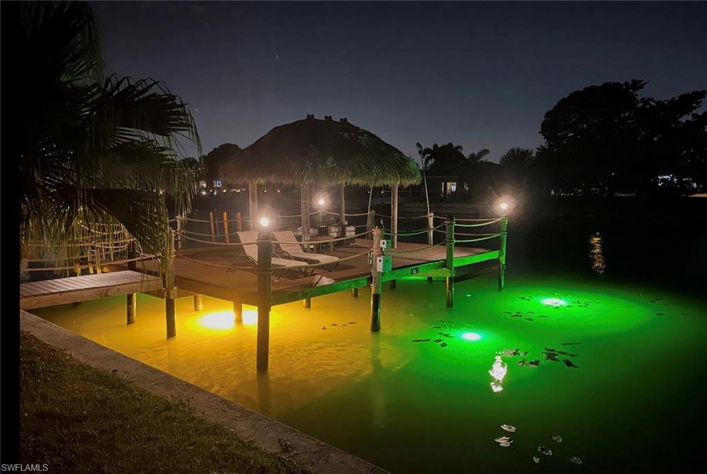 Snook Lights