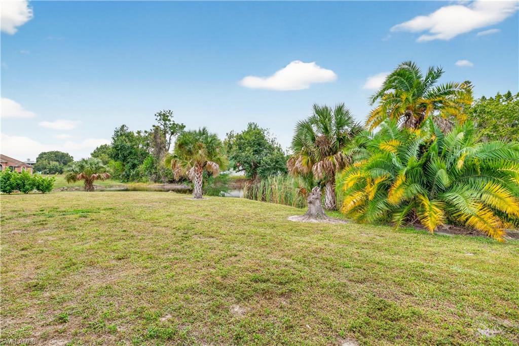 View of grassy yard