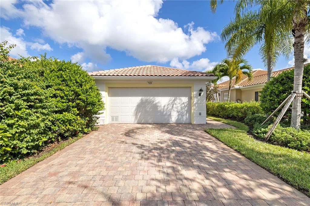 7539 Novara CT