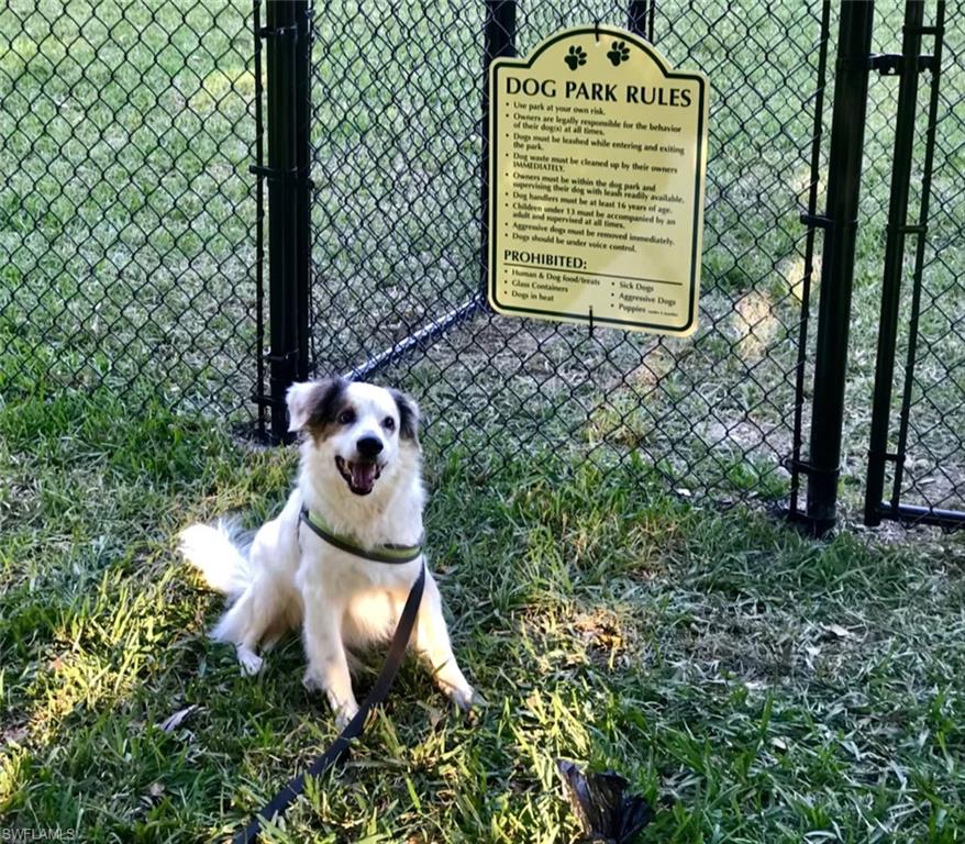 Dog_park_for_your_fur-baby