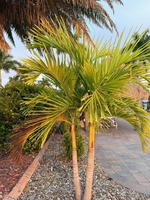 5309 Cypress Trail Resort CIR photo 17