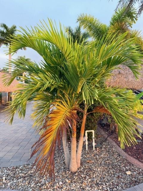 5309 Cypress Trail Resort CIR photo 16