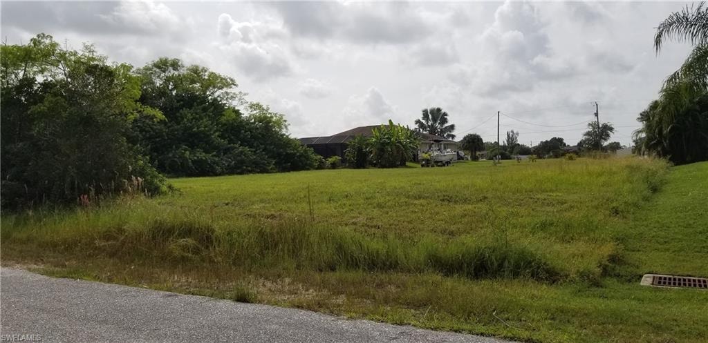 View of undeveloped land