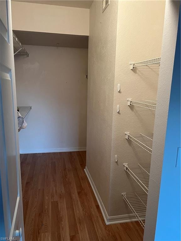 Spacious closet featuring dark wood finished floors