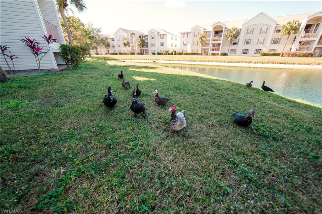 View of grassy yard featuring a water view