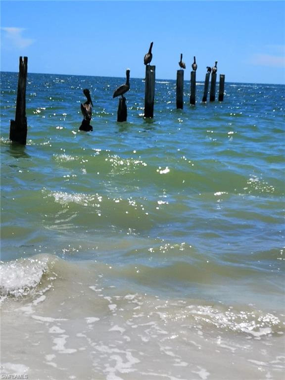 just South of the Beach Access