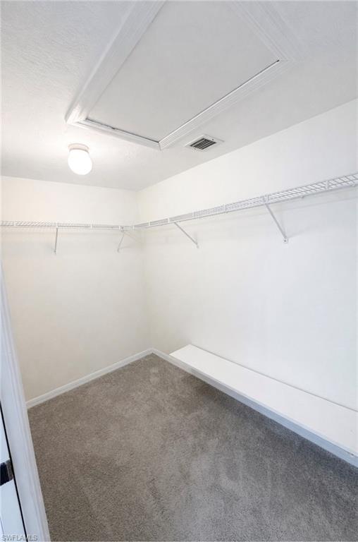 1228 Commonwealth CIR O203 photo 12