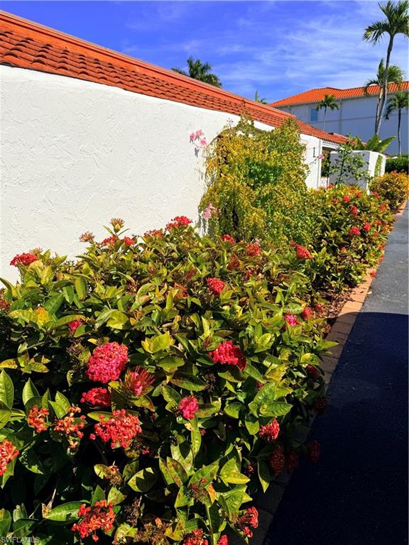 Beautiful plants on site of 1 story building with only 4 units