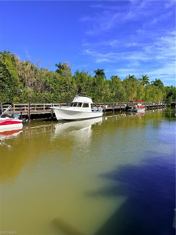 Dock area with a water view of boats, pelicans, and fish