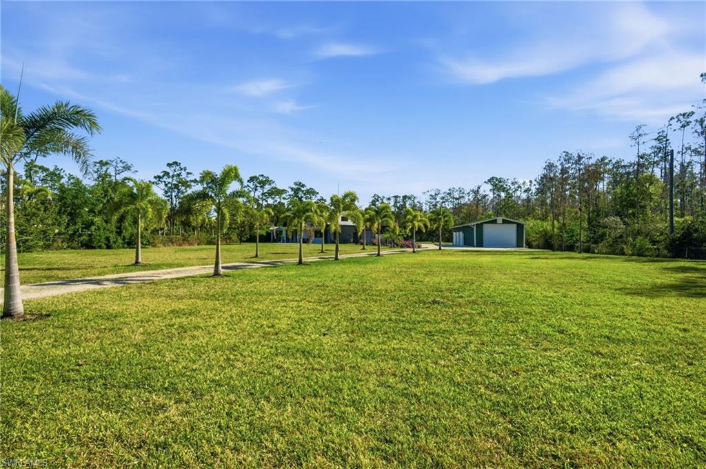 Front yard