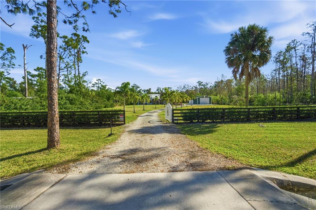 Privacy meets character - a custom electric gate welcomes you home along with your Foxtail Palm-lined driveway.