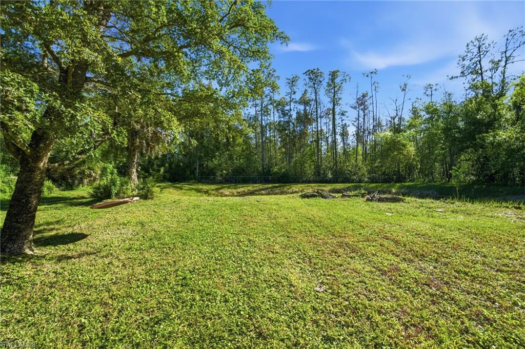 Backyard by the lake