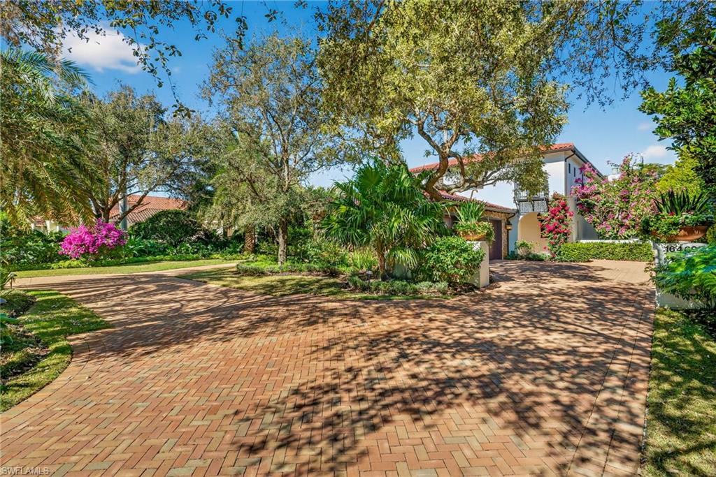16469 Celebrita CT photo 45