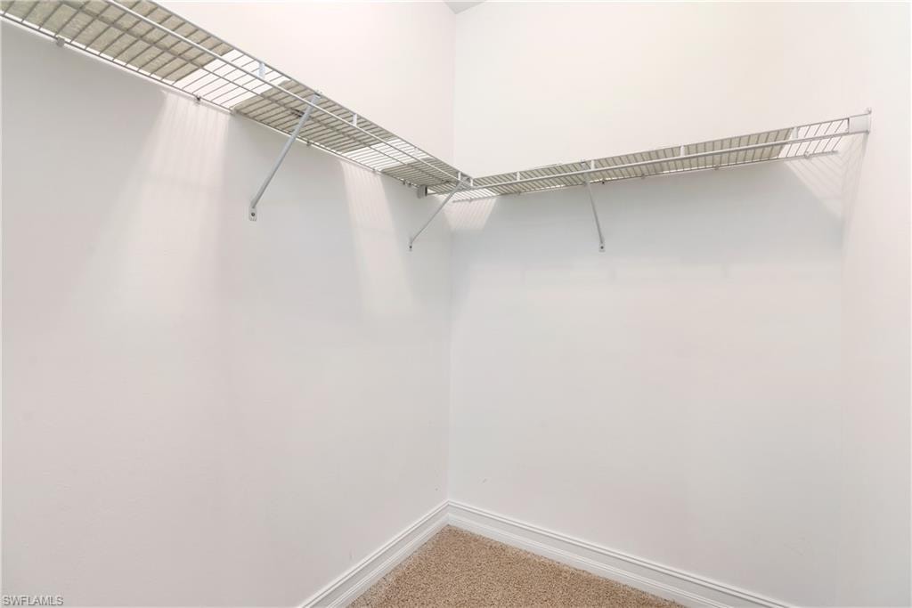 Walk in closet with carpet flooring