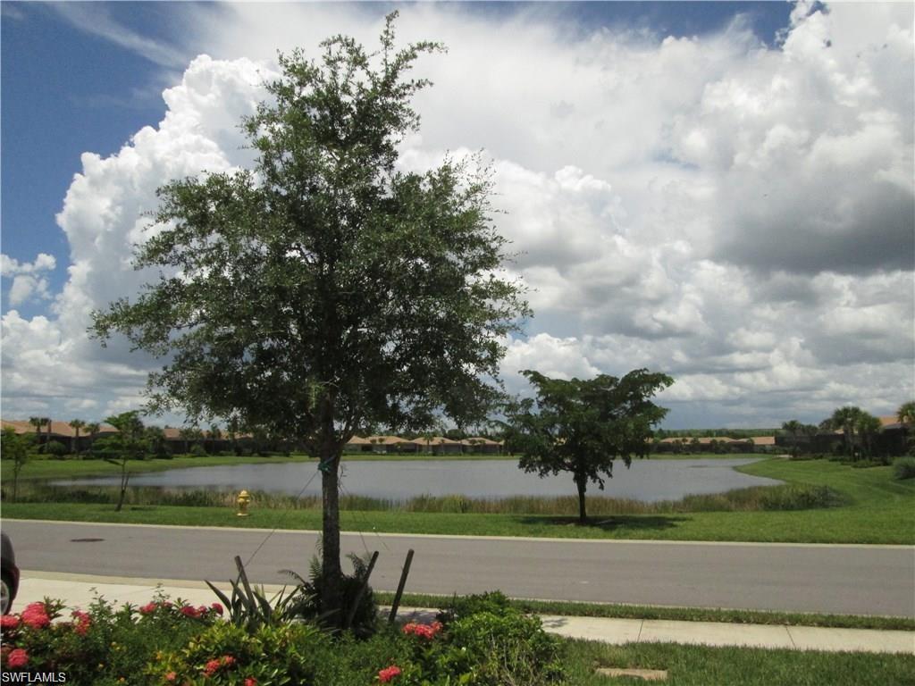 10702 Cetrella DR photo 10