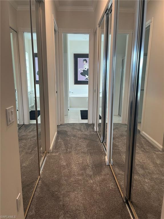 Primary mirrored hallway with walk-in closet and 3 additional closets
