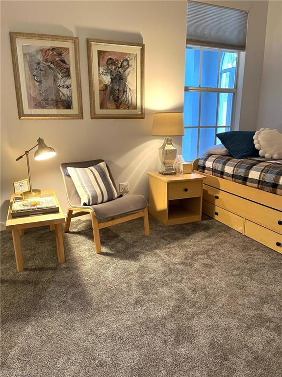 Guest Bedroom seating area