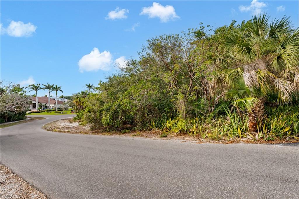 889 Scott DR photo 36