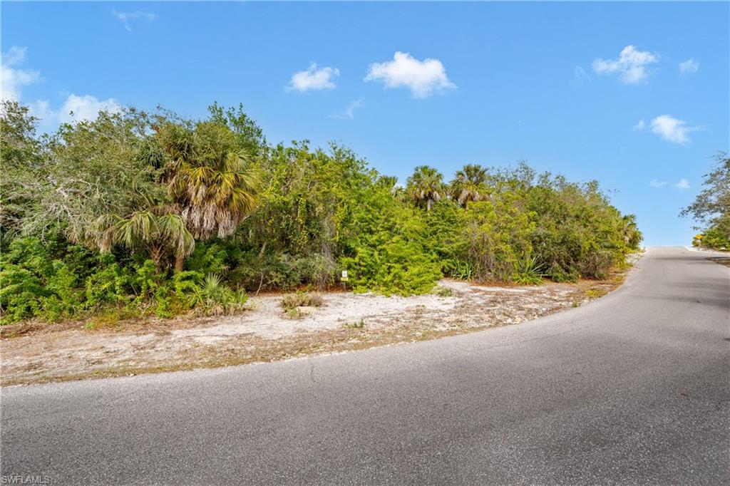 889 Scott DR photo 35