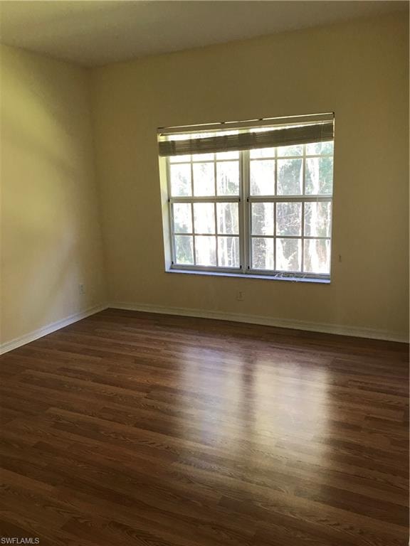 Spare room featuring dark wood-style floors and plenty of natural light