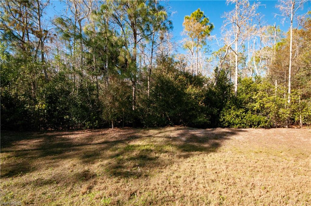 3281 Lindsey LN 4 photo 34