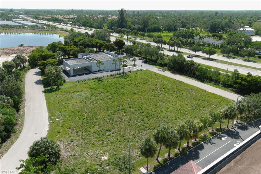 Expansive land parcel featuring existing paved access and mature palm trees