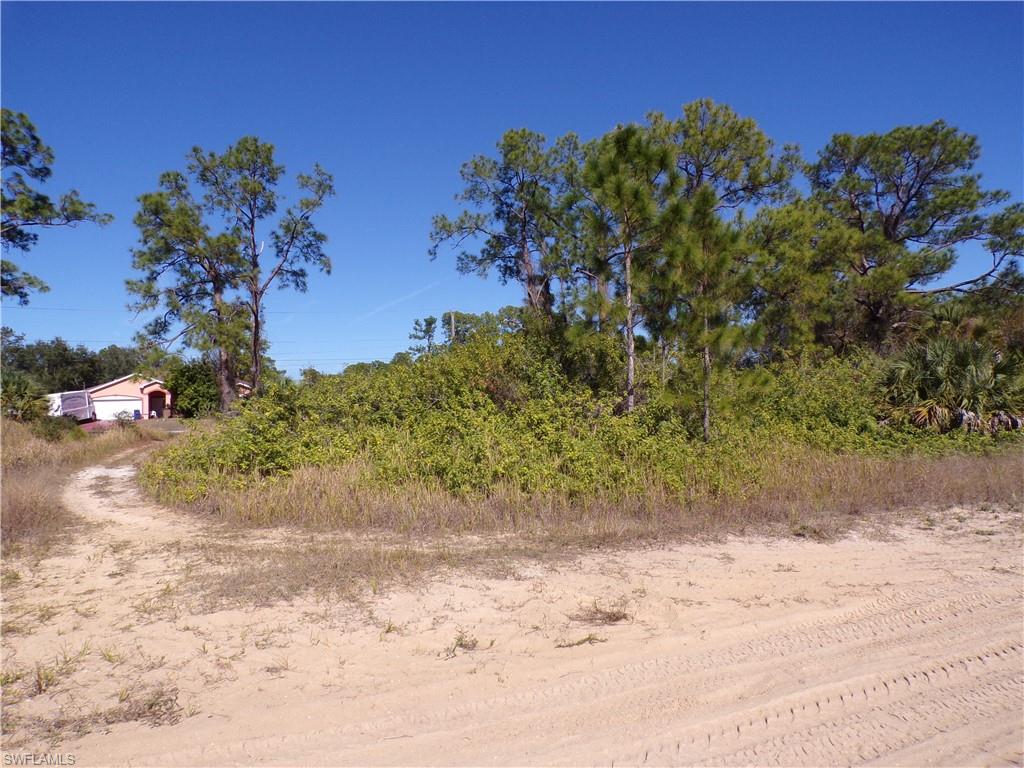 View of undeveloped land