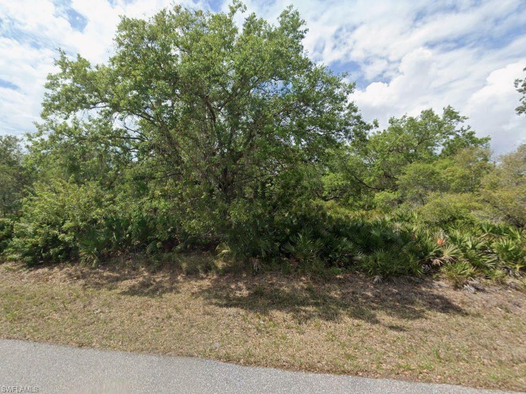 View of undeveloped land