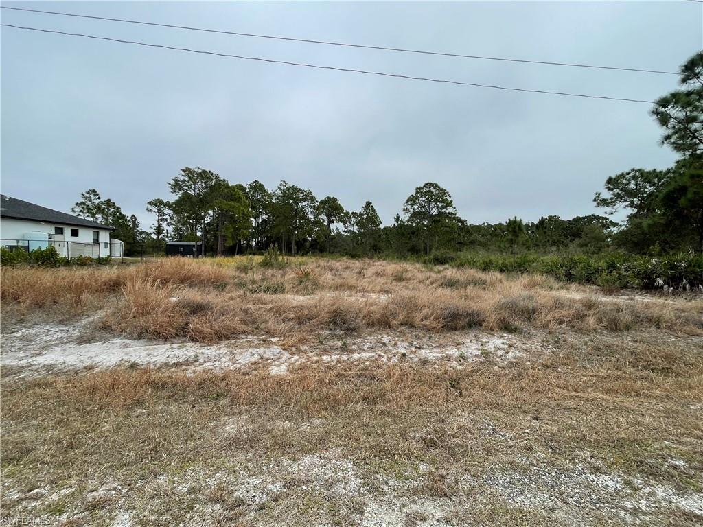 View of undeveloped land