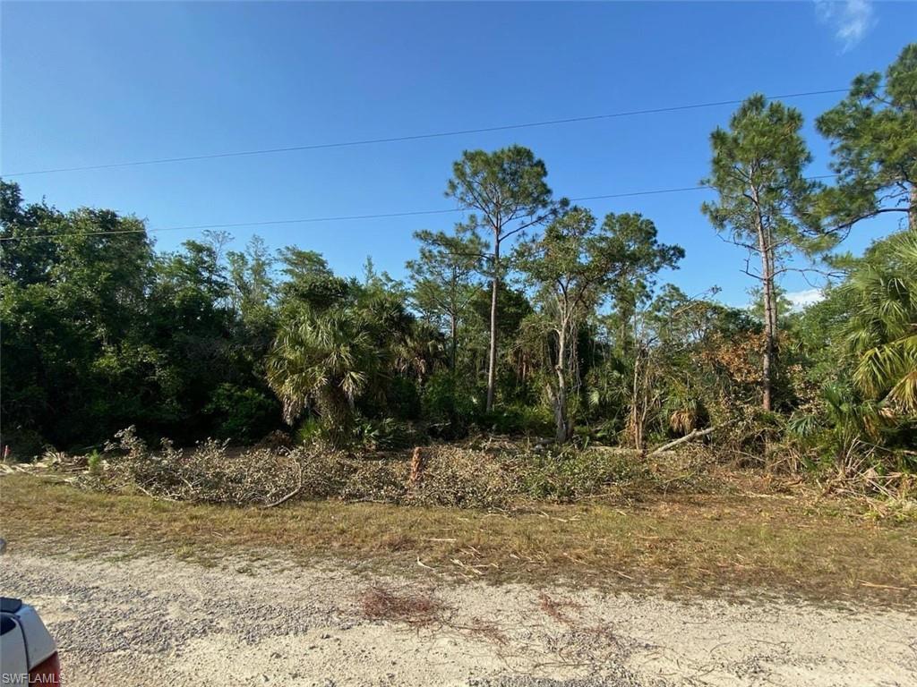 View of undeveloped land