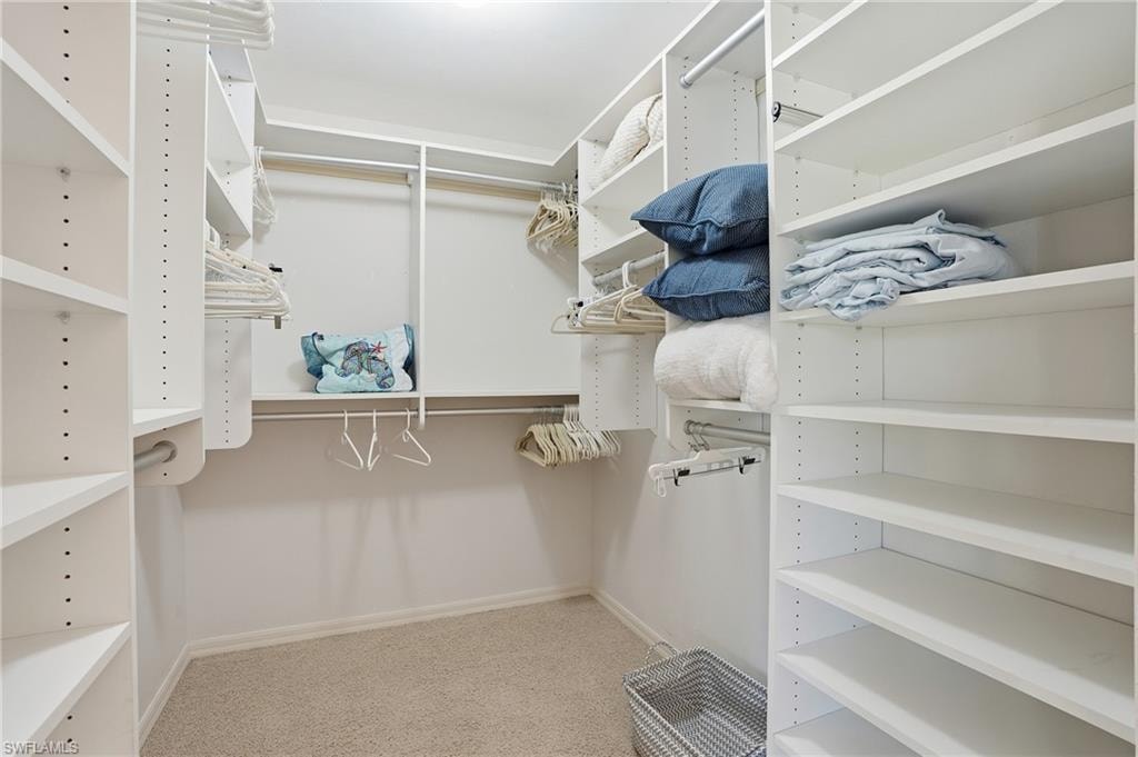 Spacious closet featuring light carpet